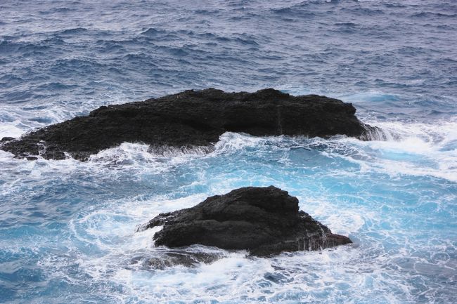 風がかなり強いです。