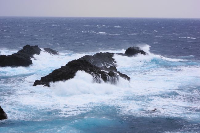 今日の高速は順調です。<br />休憩を賤ヶ岳ＳＡでとりました。ここで、「つるやパン」の名物パン「サラダパン」を発見。<br />思わず購入しました。<br />サラダパンて何？最近は、メディアにも紹介されるようになったのですが（秘密のケンミンＳＨＯＷでも紹介済）、刻んだタクアンをマヨネーズで和えたものをコッペパンに挟んだものです。もともとは、キャベツとマヨネーズだったようですが、食感もよく保存もきくので、タクアンになったようです。タクアンも野菜じゃないかとネーミングはそのままに、販売されています。写真は撮り忘れました。<br />刻みタクアンのかわりに、野沢菜を和えるのもオリジナルレシピで、おいしいようです。<br /><br /><br /><br />