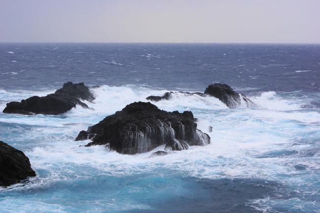 南越前町河野と敦賀市大比田を結ぶ越前・河野しおかぜラインを北上します。平成２０年９月３０日から無料になりました。<br /><br />海岸沿いで、パーキングエリアもあるので、止まりながらユックリと走りました。<br />海の色、キレイです。日本海の冬は、真っ黒のような海の色のイメージでしたが、そうじゃない顔も見せてくれるんですね。<br />同じような写真が続きます。