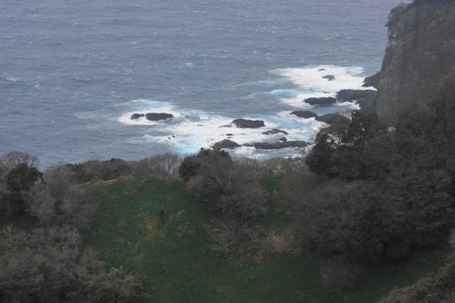 一番上の展望台から。<br /><br />風が強くて、早々に建物の中に逃げ込みました。<br /><br />水仙ランドを後にしました。