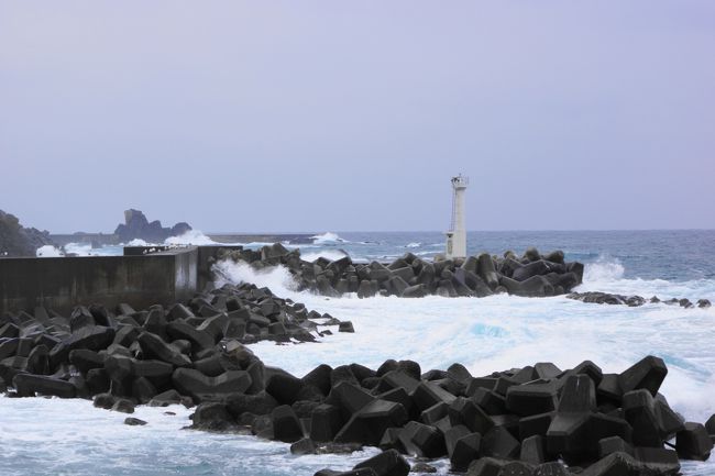 越前海岸<br /><br />港には鳥さんがたくさん。
