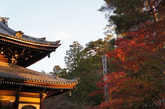 夕日と紅葉がいい雰囲気です。