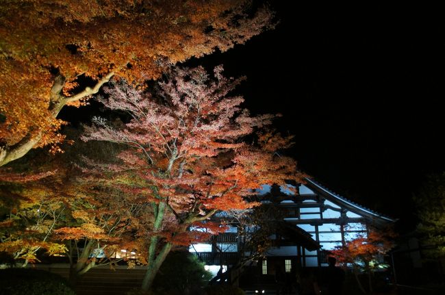 夜は冷え込みます！<br />でも紅葉は綺麗です。