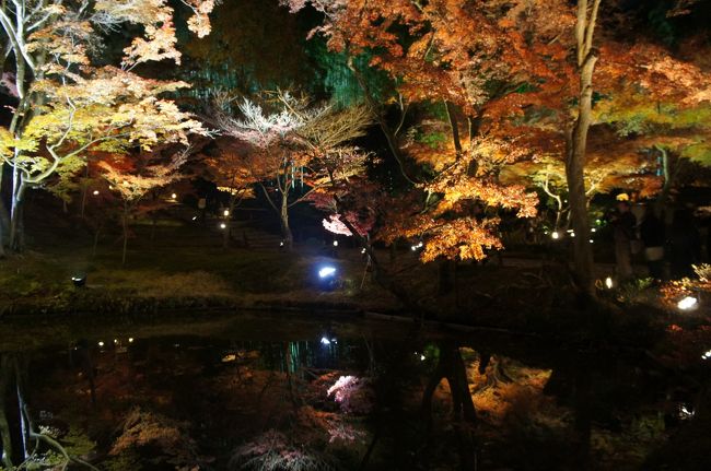 水面に映る紅葉がきれいです。