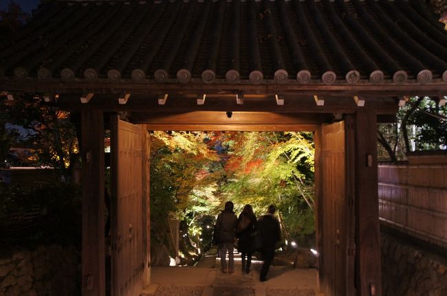 高台寺を1周して帰ります。