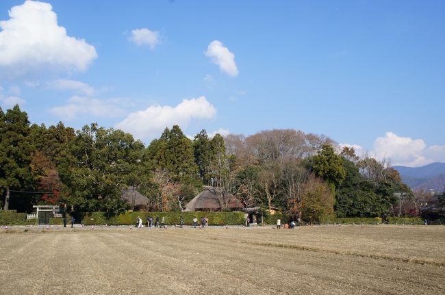 落柿舎を外から見学。<br />柿が沢山なってました。