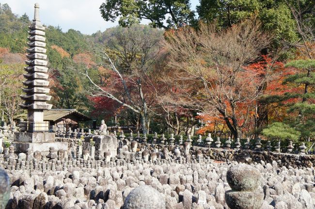 さらに人も少なく、静かでした。