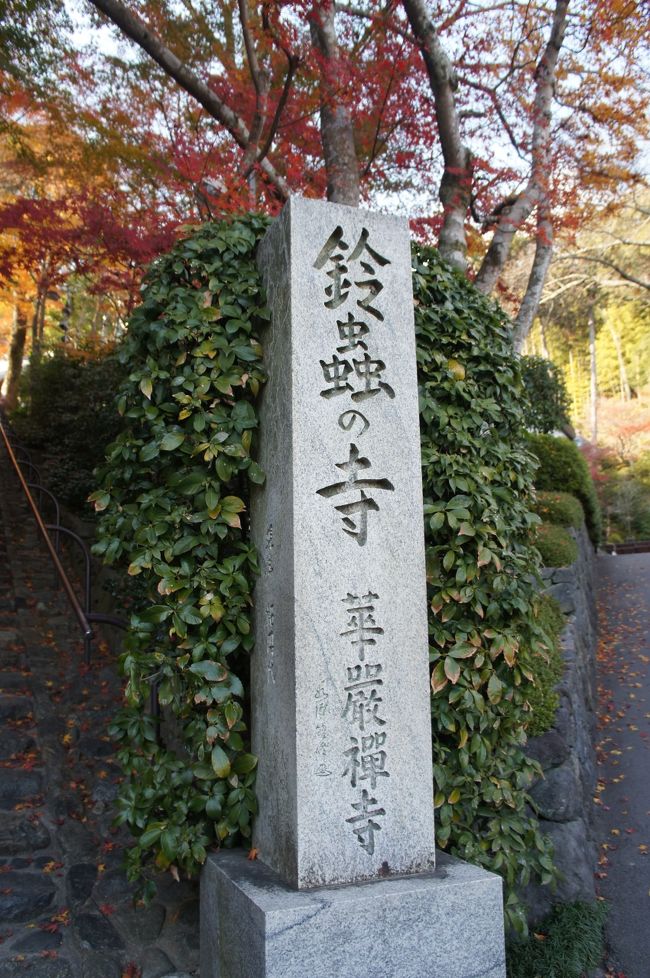 よく願いが叶うと噂の鈴虫寺。<br />住職のお話が30分程度あり、お茶とお菓子まで提供されます。<br />サービス満点のお寺です。