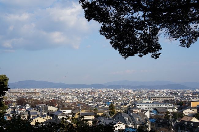 鈴虫寺から京都市内が一望できます。