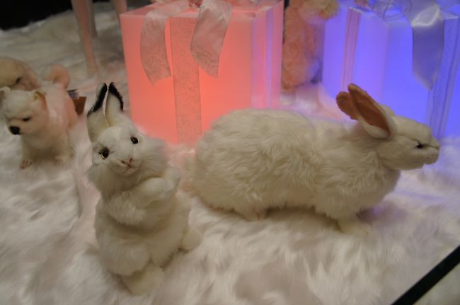 京都市内の高島屋はクリスマス仕様でした。