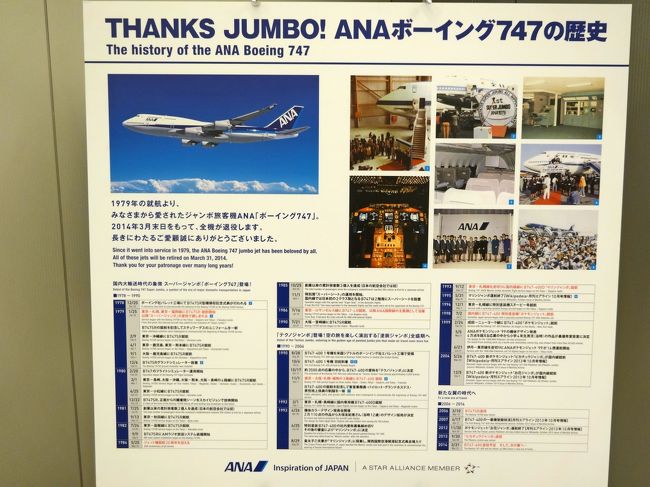 Amazon.co.jp: ANA THANKS JUMBO 記念マグカップ 2014年3月29日