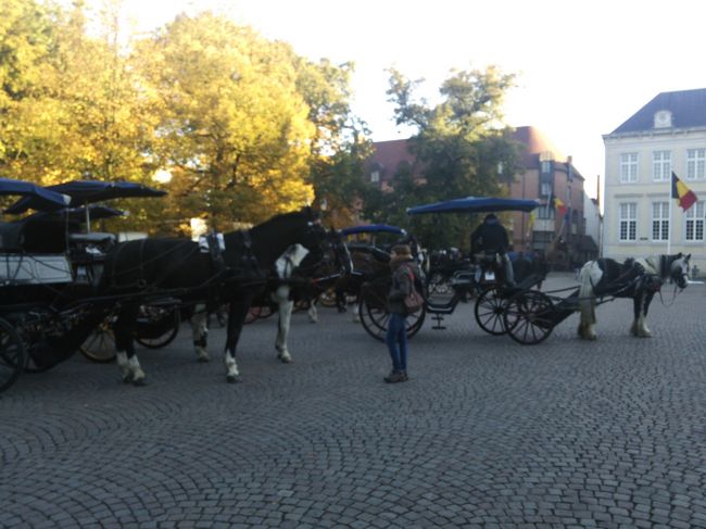 そして、市街の観光のため馬車や
