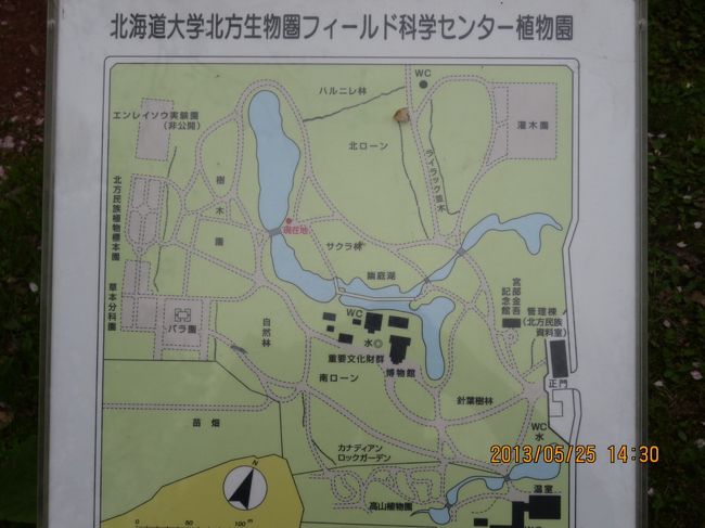 植物園内の案内板。