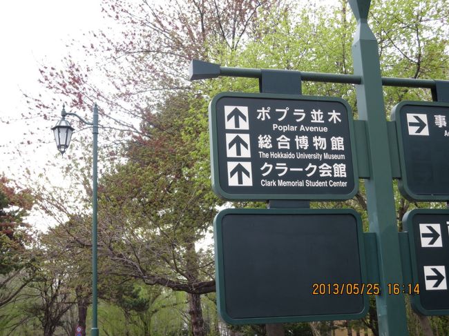 北大構内の案内板。