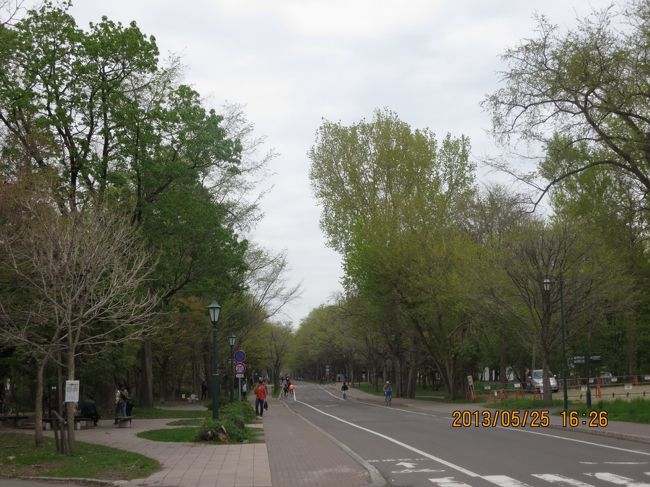 北大の中央道。<br />クラーク会館から、北に1Kmほど延びた真っ直ぐな舗装路。