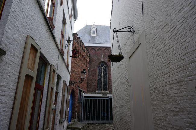 まだまだ歩きます。