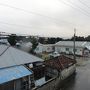 新春八重山ツアー(3)　石垣島・波照間島・西表島・竹富島に行ってきたよ