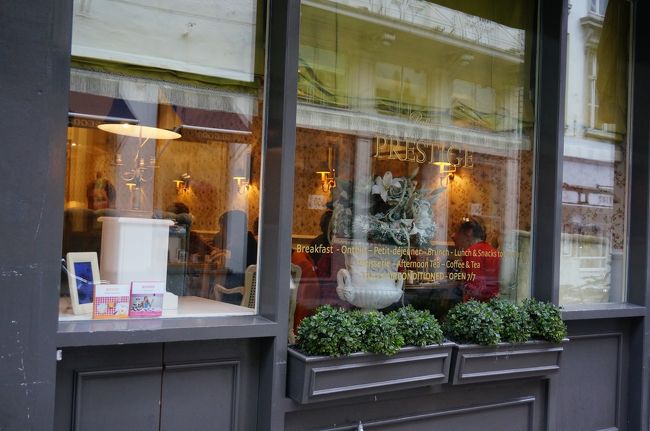 寒くて寒くて・・・