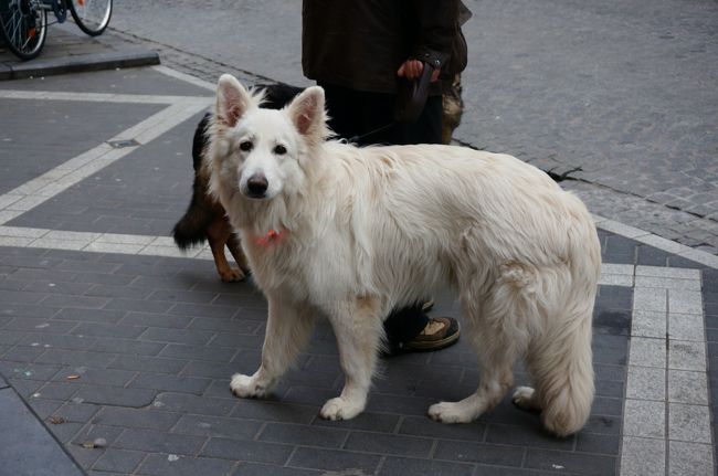 カメラ目線<br />ありがとう！！