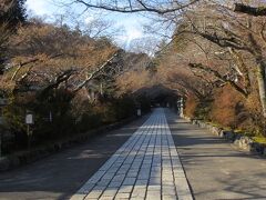 石山寺の参道だれもいない。正月はたいへんなにぎわいになるのだろう。春はさくら、秋は紅葉で美しい。