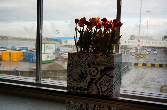 出国を済ませ<br />空港内を散策〜