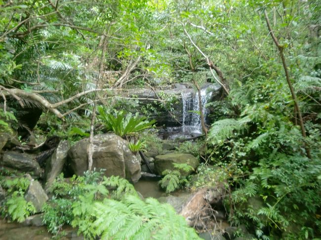 上流まで行くと、船を降りてちょっとしたトレッキングです。