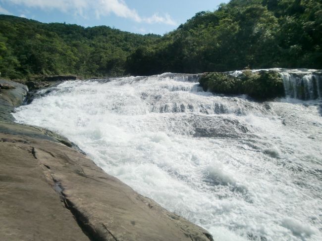 勢いよく流れていました。