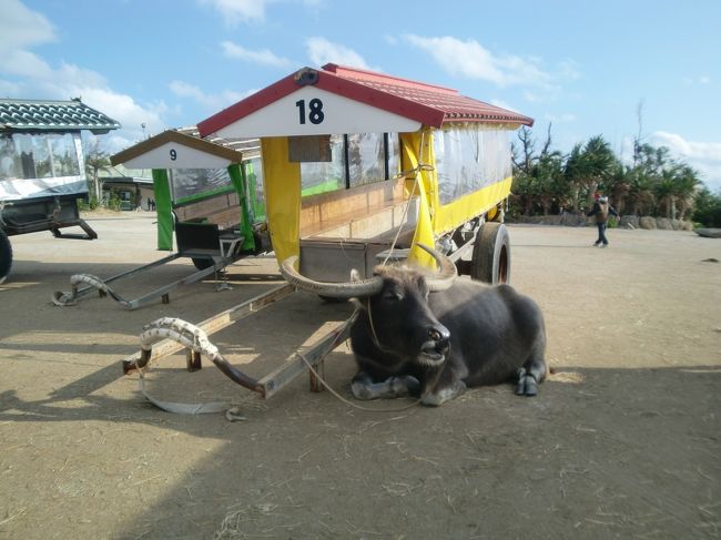 お疲れのようで…