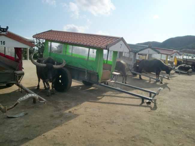 結構たくさんいました。