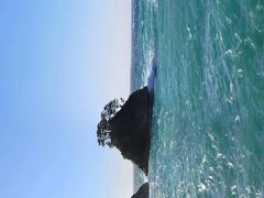 西伊豆町堂ヶ島に。
ここでも波が高いです。