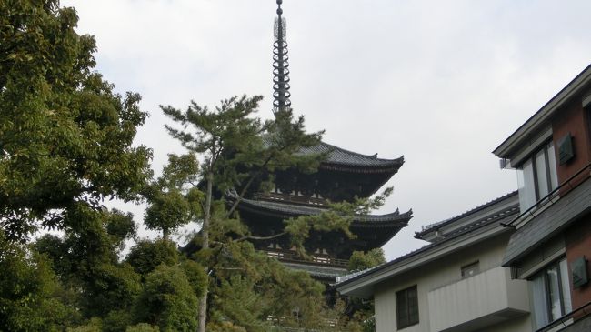 興福寺の五重塔を横目に先に進んでいきます。<br />国宝らしいんですが今日はスルーしますｗ<br />