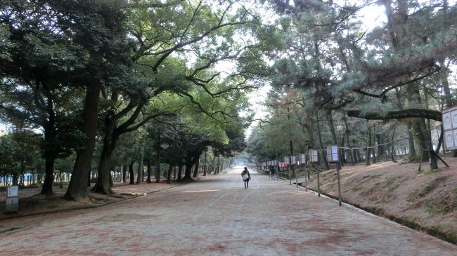 鳥居をくぐって進んでいきます。<br />