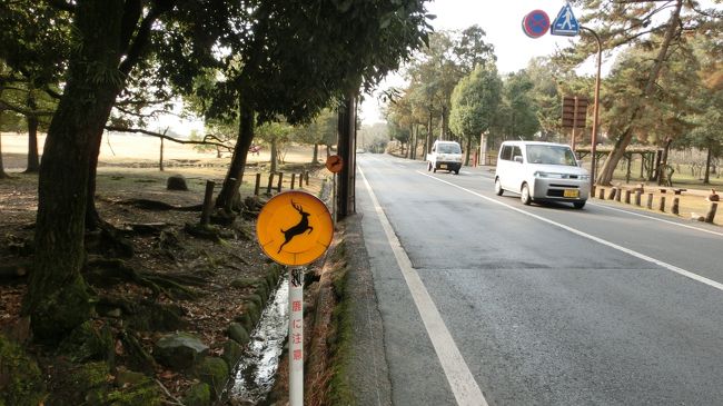 鹿飛び出し注意ｗ