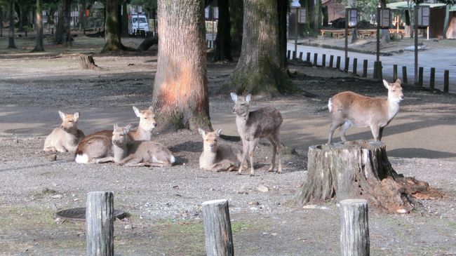 至る所にいます