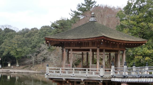 浮見堂です。<br />本当は行きたかったのですが、結婚式の記念撮影をしている方たちがおられましたので今回は遠くから写真だけにしました。<br />