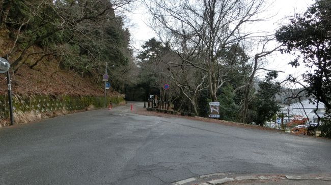 ここが春日山原生林の入り口です。