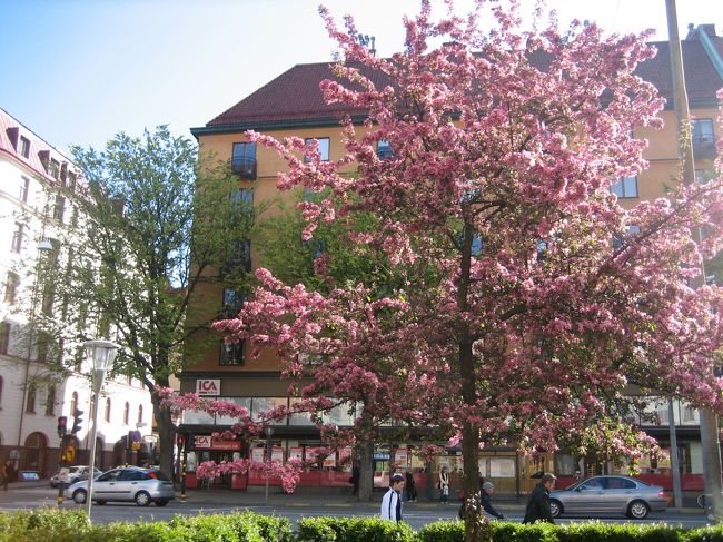 そして、とうとう空港に向かう時間に。<br />