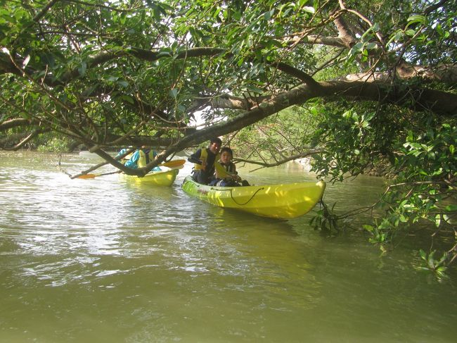 長男と夫はカヤックへ。マングローブのカヤックは結婚したとき以来。私もやりたかったのですが、３歳以上とのことで、次男とお留守番。。