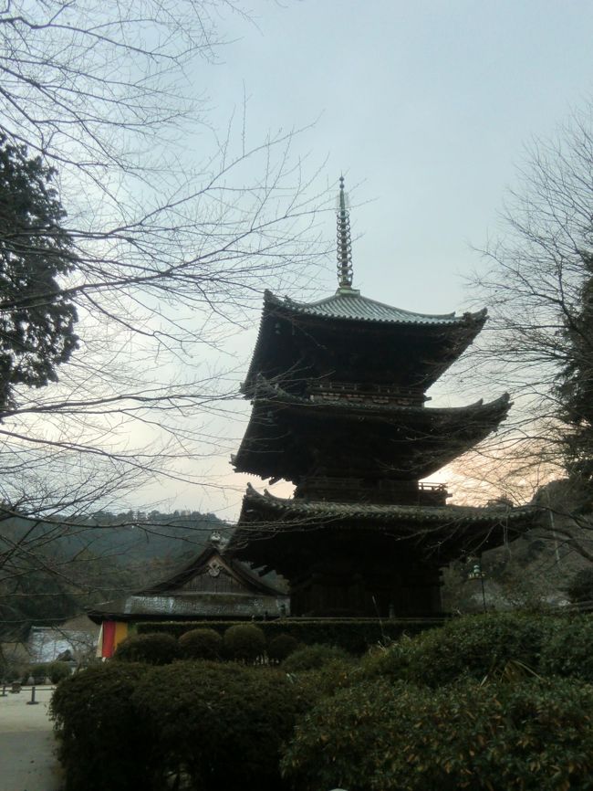 【百人一首歌枕巡り】 三井寺 円満院門跡 ~もろともに あはれと思へ山桜~