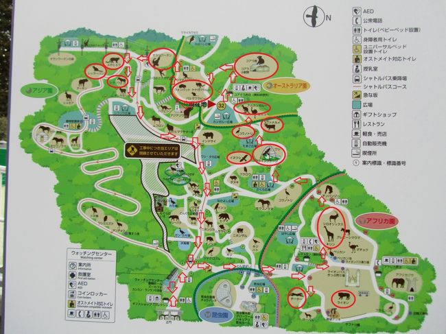レッサーパンダのニューフェイスに会いたくて多摩動物公園へ 1 美しき猛獣たちと凛々しい鳥類 スマートでしなやかなチーターの兄弟から目が離せない 日野 昭島 東京 の旅行記 ブログ By まみさん フォートラベル レッサーパンダのニューフェイスに会いたくて多摩動物公園へ 1 美しき猛獣たちと凛々しい鳥類 スマートでしなやかなチーターの兄弟から目が離せない 日野 昭島 東京 の旅行記 ブログ By まみさん フォートラベル