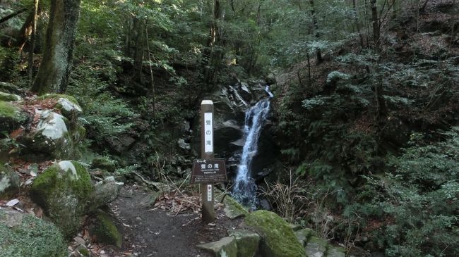 鶯の滝です。高さ10ｍほどの小さな滝です。<br />鶯が鳴いているように聞こえるとのことですがよくわかりません＾＾；
