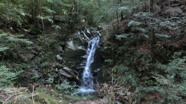 滝を見学します。