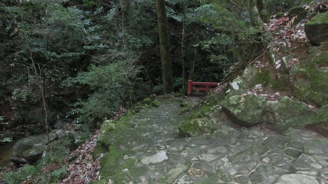 少し周辺を散策します。