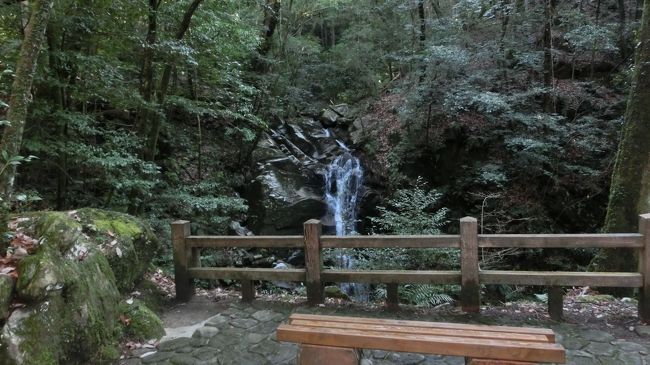 滝の見える位置に休憩できるところも用意してくれています。<br />でも春日山原始林に入ってから観光客らは５〜６人しか見ていません。<br />ここも貸し切り状態です。<br />個人的には空いててラッキーですがｗ<br />