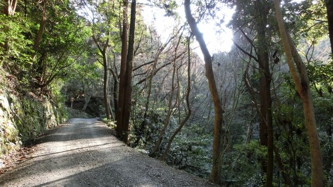 鶯の滝分岐に戻ります。