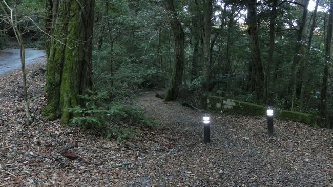 鶯の滝分岐から若草山に向かっています。