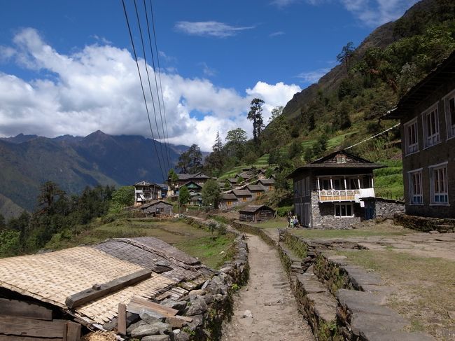 スペイン人の新婚さんは新婚旅行、ルーカスは写真が好き（重たそうな三脚を持って）、欧米人のおじいちゃんはガイドさんとマンツーマンでトレッキング、イギリス人のおじさんはネパール語が話せるらしく茶屋で話をするのを楽しんでいた。薄手の靴下にコンバースにはびっくり。<br />オーストラリアのご夫婦は健脚で歩くのが大好き（下りもジリまで戻るそう）、アメリカ人の若い4人はカップルトレッキング　など<br /><br />みんないろんな思いをもって歩いてるんだなぁ。