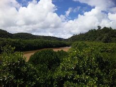 食後に、慶佐次湾のヒルギ林を見に来ました。

そんなに長い遊歩道じゃないけど、暑かった。