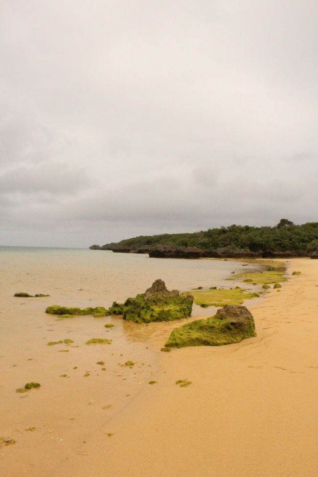 ゆっくり、時が経つのを忘れます。