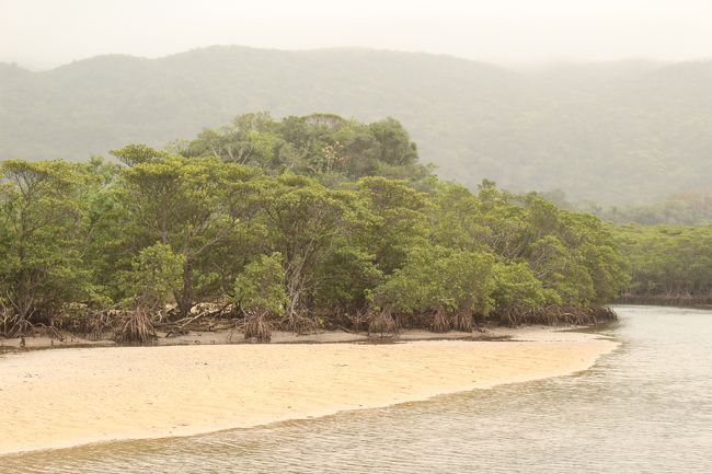 後で調べてみると、ここは天然記念物のヒルギが自生するマングローブ地帯だそうです。<br />熱帯雨林を体験できます。